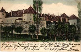 1905 Fogaras, Fagaras; vár. Thierfeld Dávid kiadása / Schloss / castle (kis szakadás / small tear)