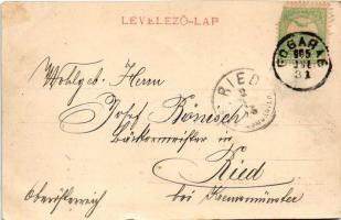 1905 Fogaras, Fagaras; vár. Thierfeld Dávid kiadása / Schloss / castle (kis szakadás / small tear)