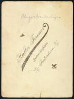 cca 1900 Lányok legyezővel, keményhátú fotó Haller Ferenc szatmári műterméből, sérüléssel, 12,5×9,5 ...