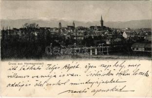 1906 Nagyszeben, Hermannstadt, Sibiu; látkép. Karl Graef kiadása / general view (EB)