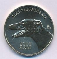 2021. 2000Ft Cu-Ni-Zn "Magyar Agár" kapszulában T:P