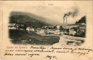 1900 Azuga, general view, factory (fl)