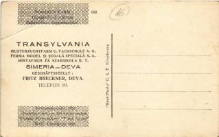 Piski, Simeria; Transylvania Musterzuchtfarm u. Fachschule A.G. / Ferma Model si Scoala Speciala S.A...