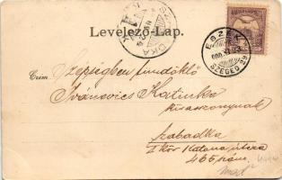 1900 Gombos, Bogojeva; Gőzkomp Gombos és Erdőd között a szabad Dunán, gőzmozdony, vonat. Schön Adolf...