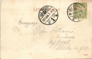 1907 Budapest XI. Kilátás a Gellérthegyi kioszk teraszáról, pincérek. Auer J. kiadása (fl)