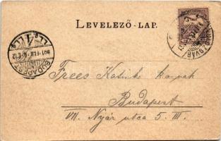 1901 Kolozsvár, Cluj; Sétatéri mulató / Restaurant im Stadtpark / park restaurant, kiosk (EK)