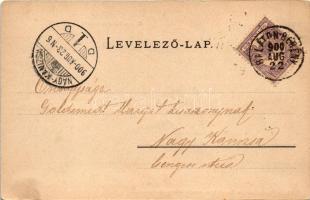 1900 Balatonberény, Balaton-Berény; nyaralók, kilátás Badacsony felé, vasúti megállóhely, vasútállom...