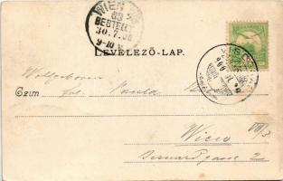 1900 Visegrád, Salamon-torony. Divald Károly 361. sz. (EK)