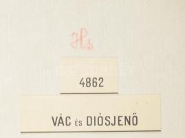 Vác és Diósjenő környékének katonai térképe, vászontérkép, 38×50 cm