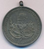 1941. "Délvidéki Emlékérem" Zn emlékérem mellszalag és fül nélkül. Szign.: BERÁN L. T:AU H...