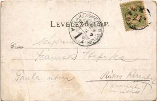 1903 Siófok, Dr. Ney-féle gyógyintézet és villa. Reich Farkas kiadása (fa)