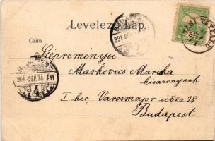 1902 Budapest VIII. Kerepesi út és a Népszínház, villamos. litho (ázott sarok / wet corner)