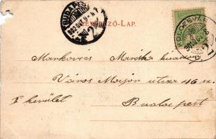 1902 Kolozsvár, Cluj; Sétatéri kioszk. Kováts P. Fiai kiadása / park restaurant, kiosk (b)