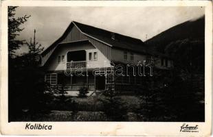 Kolibica, Colibita; Pension Seiler-Römer / szálloda / hotel (Rb)