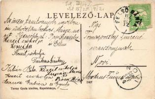 1912 Kapnikbánya, Cavnic; Részlet a Guttinról (Gutin-hegység). Terray Gyula kiadása / Muntii Gutai /...