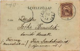 1901 Tusnád, Villa Emma este. Adler Alfréd kiadása / night (fl)