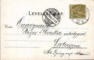 1905 Pozsony, Pressburg, Bratislava; Hal tér. Duschinsky G. 11690. / Fischplatz / square