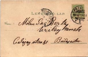 1903 Pozsony, Pressburg, Bratislava; Duna rakpart, ingahajó. Heliocolorkarte von Ottmar Zieher / Don...