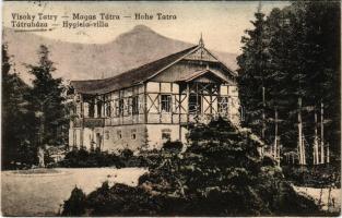 1924 Tátraháza, Mlynceky (Magas-Tátra, Vysoké Tatry); Hygieia villa / villa (Rb)