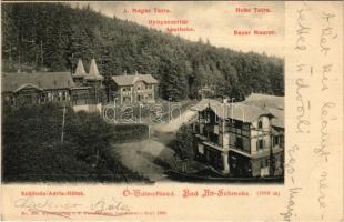 1904 Ótátrafüred, Tátrafüred, Altschmecks, Stary Smokovec (Magas-Tátra, Vysoké Tatry); Adria szálloda, gyógyszertár, Maurer bazár üzlete. F. Pietschmann No. 594. / hotel, pharmacy, bazaar shop (EK)