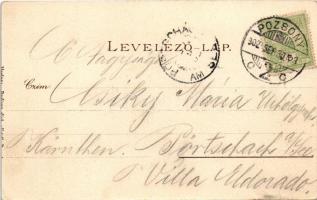 1902 Pozsony, Pressburg, Bratislava; Mezőgazdasági Országos Kiállítás, Halászati csárda / Agricultur...