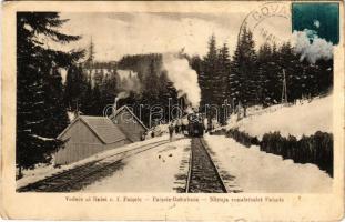 1932 Komandó, Kommandó, Comando, Comandau; Vedere al liniei c.f. Paisele / Paisele Bahnlinie / Naruja vonalrészlet Paisele télen, iparvasút, gőzmozdony, vonat. Foto Adler Oscar / industrial railway, locomotive, train in winter (EK)