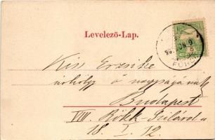 1902 Csízfürdő, Kúpele Cíz; Horváth nyaraló, Nedetzky telep, gyógyszertár, Első csízi bazár. Lautz é...