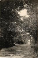 1914 Szobránc-fürdő, Kúpele Sobrance; "Szerelmes" erdei sétány. Scharf Béla kiadása / romantic forest walkway, spa promenade