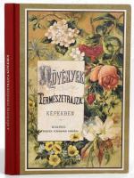 Schubert, G[otthilf] H[einrich von]: A .övények természetrajza képekben. A második magyar kiadást átdolgozta Dr. Borbás Vince. Bp.,[2022],Pytheas -Tinta, 52 p.+LIII t. Az 1882-es Pfeifer Ferdinánd kiadás igényes reprint kiadása. Kiadói félvászon-kötésben.