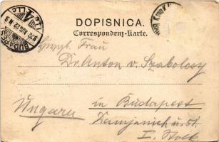 1902 Bula (türk. Frau) / Boszniai török nő / Turkish woman from Bosnia (Rb)