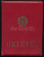 1956 Lenin Intézet tanári oklevele történész részére