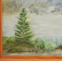 Boromissza jelzéssel: Virágos domboldal. Olaj, vászon. keretben 50x60 cm