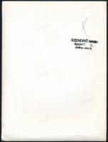 1945 Szendrő István (1908-2000): A kiégett Iparcsarnok épülete, pecséttel jelzett fotó, kis törésnyo...