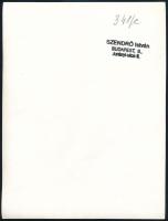 cca 1930-1940 Szendrő István (1908-2000): Budapest, Margitsziget, zenélő kút, pecséttel jelzett fotó...