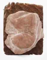 Nagy Sándor (1923-2017): Imádkozó. Faragott kő, fa talapzaton, jelzés nélkül, teljes m: 9,5 cm