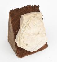 Nagy Sándor (1923-2017): Imádkozó. Faragott és vésett kő, fa talapzaton,, jelzés nélkül, teljes m: 10 cm