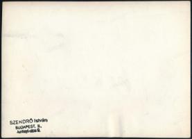 cca 1930-1940 Szendrő István (1908-2000): Séta a Badacsonynál, pecséttel jelzett fotó, 23,5×16 cm
