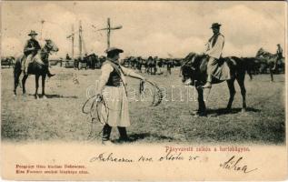 1900 Hortobágy, pányvavető csikós. Pongrácz Géza kiadása, Kiss Ferenc eredeti fényképe után