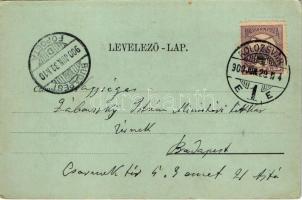 1900 Királyhágó, Bucsa, Bucea; Vízesés a bucsai alagútnál. Dunky Fivérek cs. és kir. udvari fényképé...