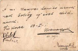 1903 Vinkovce, Vinkovci; kivágott óriás tölgyfa törzse és a belőle készült kilátó / giant oak tree t...