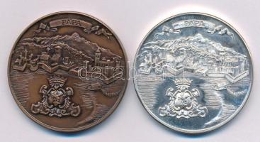 Lantos Györgyi (1953-) 1990. "MÉE Pápa / Éremgyűjtők 20. Vándorgyűlése" kétoldalas bronz +...