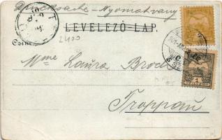 1901 Máriaradna, Maria Radna, Radna (Lippa, Lipova); Kegytemplom este. Gregor Fischer / pilgrimage c...