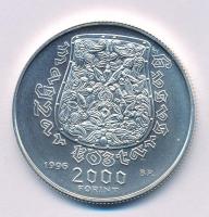 1996. 2000Ft Ag "Honfoglalás 1100. évfordulója" kapszulában T:BU
Adamo EM141