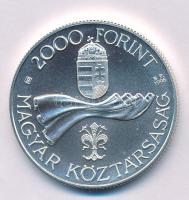 1996. 2000Ft Ag "50 éves a Forint" kapszulában T:BU
Adamo EM144