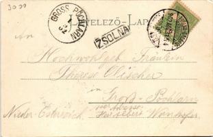1902 Zsolna, Sillein, Zilina; látkép. Gansel Lipót kiadása / general view + "ZSOLNA - GALÁNTA -...