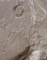 Cs. Kovács László /1929-2001/: Kosfej. Faragott kő, jelzett, 14x10 cm