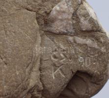 Cs. Kovács László /1929-2001/: Kosfej. Faragott kő, jelzett, 14x10 cm