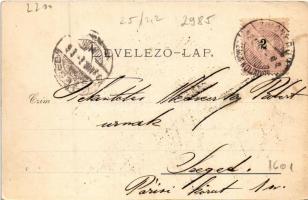 1898 (Vorläufer) Zimony, Semlin, Zemun; Winterhafen/ Téli kikötő hajókkal / Winter port (ázott sarka...