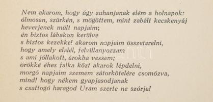 Friss Endre: Megtalált szava. Bp., 1928, Hungária, 45+3 p. Kiadói illusztrált papírkötés, restaurált...