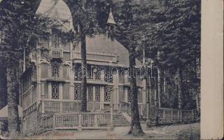 Marilla bazaar of Gyula Gross (EB)